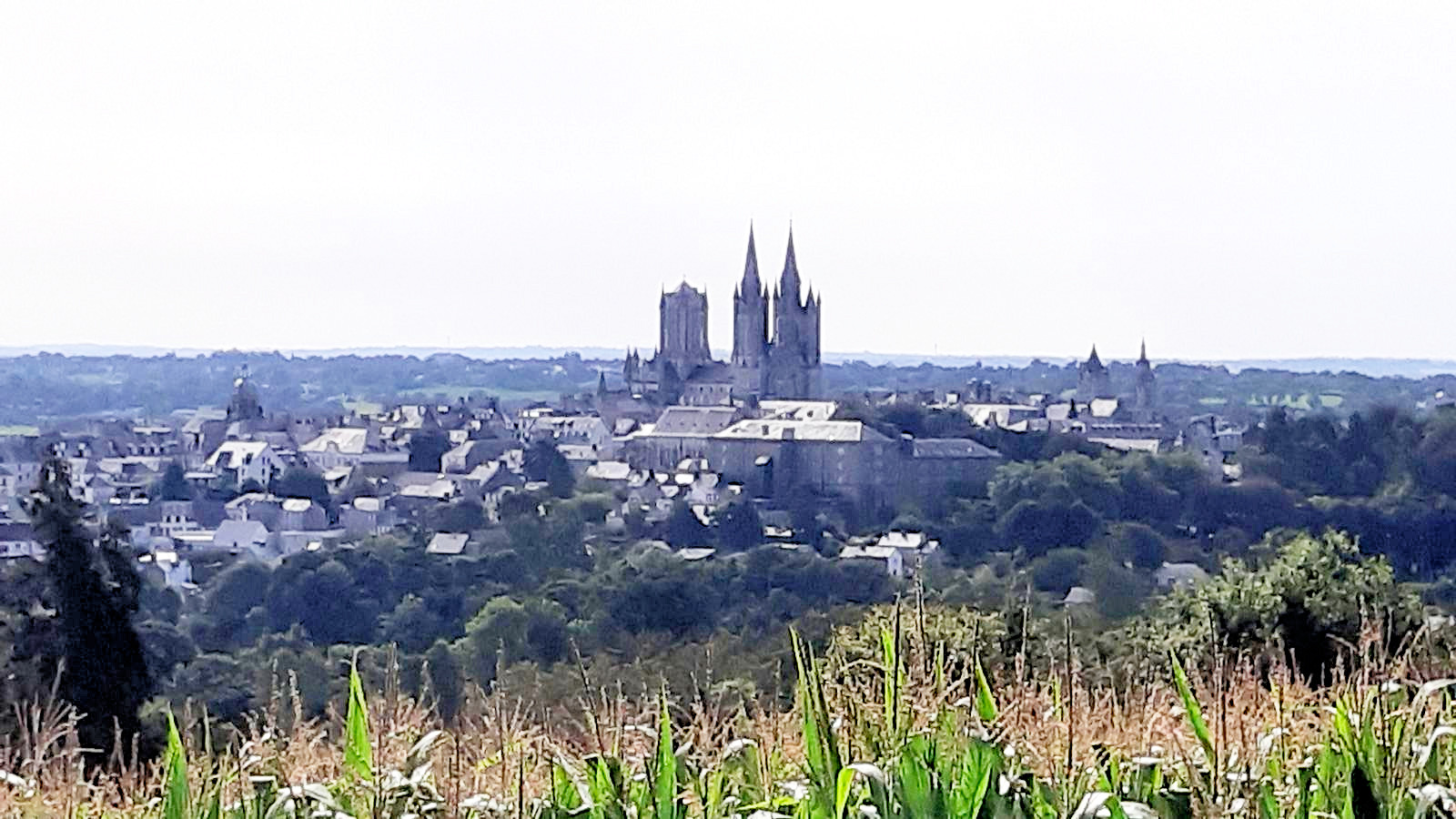 La cathédrale